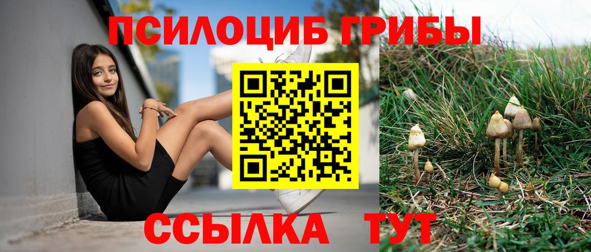 Галлюциногенные грибы прущие грибы Кимры
